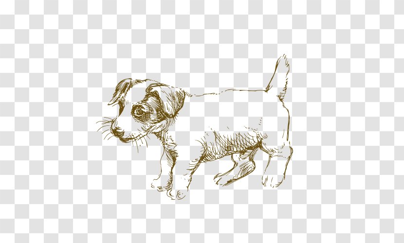 Jack Russell Terrier Siberian Husky Puppy Drawing - Dog Transparent PNG