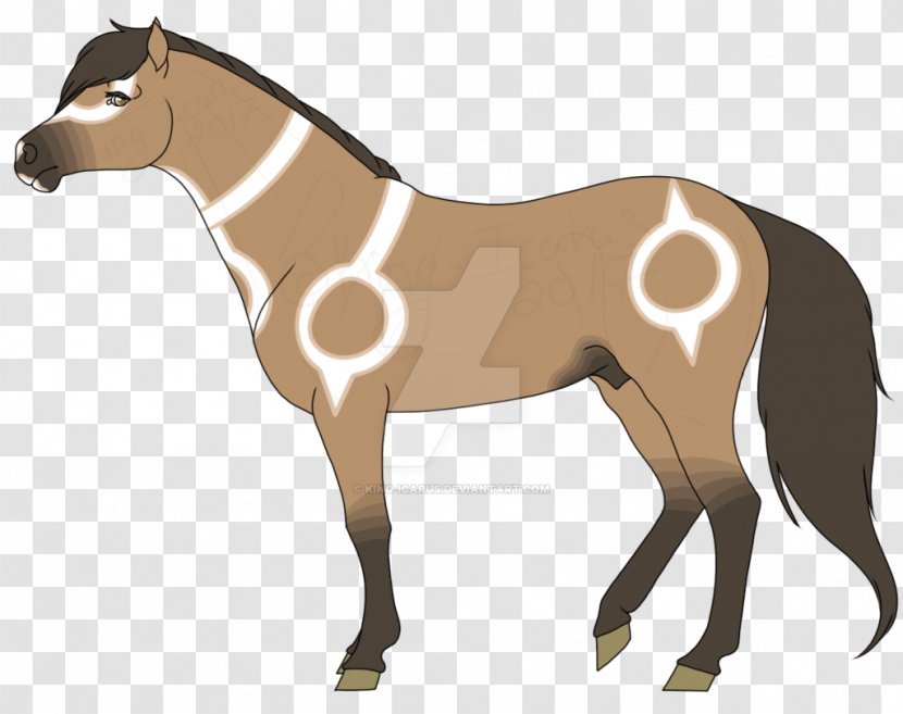 Mule Foal Stallion Mare Rein - Mustang - Desert Storm Transparent PNG
