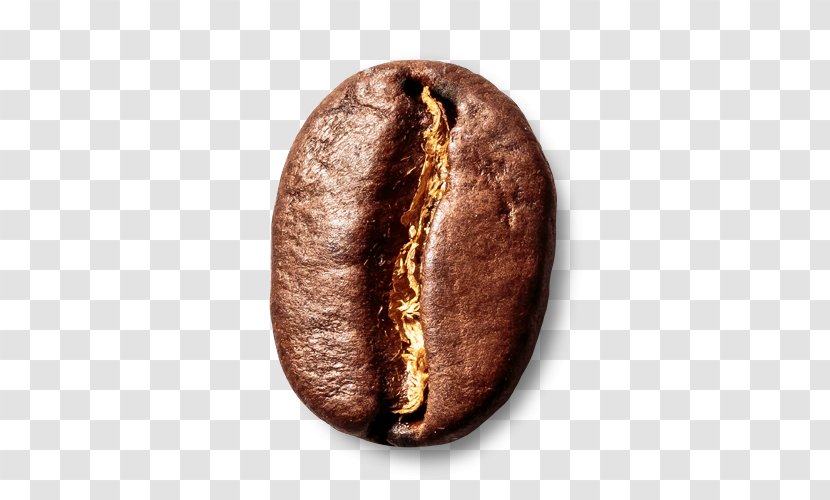 Coffee Bean Schwarzmahler Espresso Commodity - Rye Bread - Granos De Cafe Transparent PNG