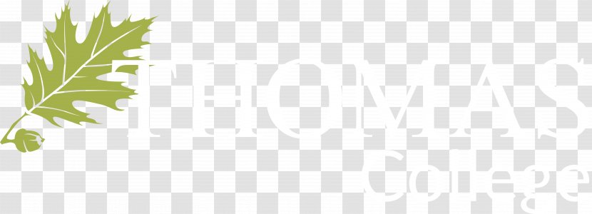 Thomas College Desktop Wallpaper Leaf Plant Stem Font - Branch - Visual Identity Transparent PNG