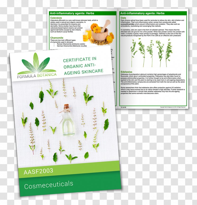 Natural Skin Care Cosmeceutical Formulation - Flora - Botanica Transparent PNG