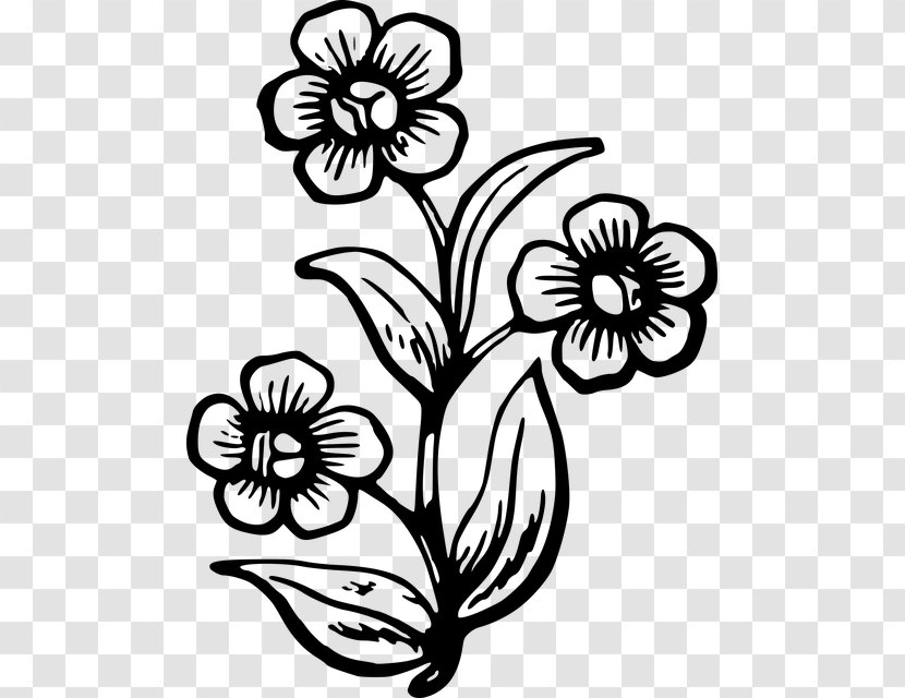 Drawing Flower Plant Painting Transparent PNG