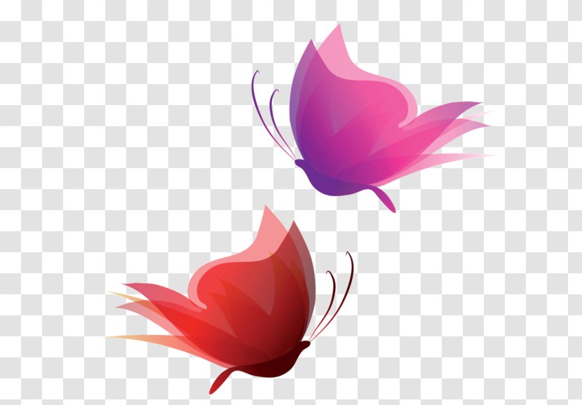 Butterfly Clip Art Transparent PNG