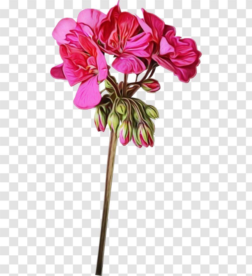 Artificial Flower - Herbaceous Plant - Magenta Transparent PNG