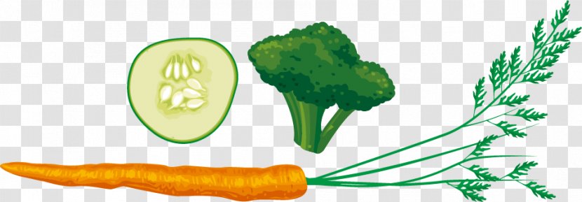 Breakfast Food Eating - Local - Carrot Cauliflower Cucumber Vector Material Transparent PNG