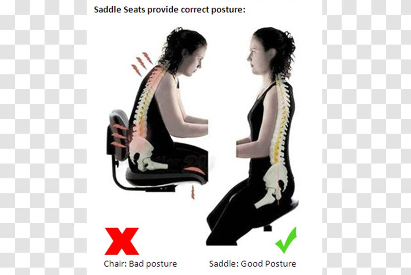 Office & Desk Chairs Saddle Chair Kneeling Posture - Stool Transparent PNG