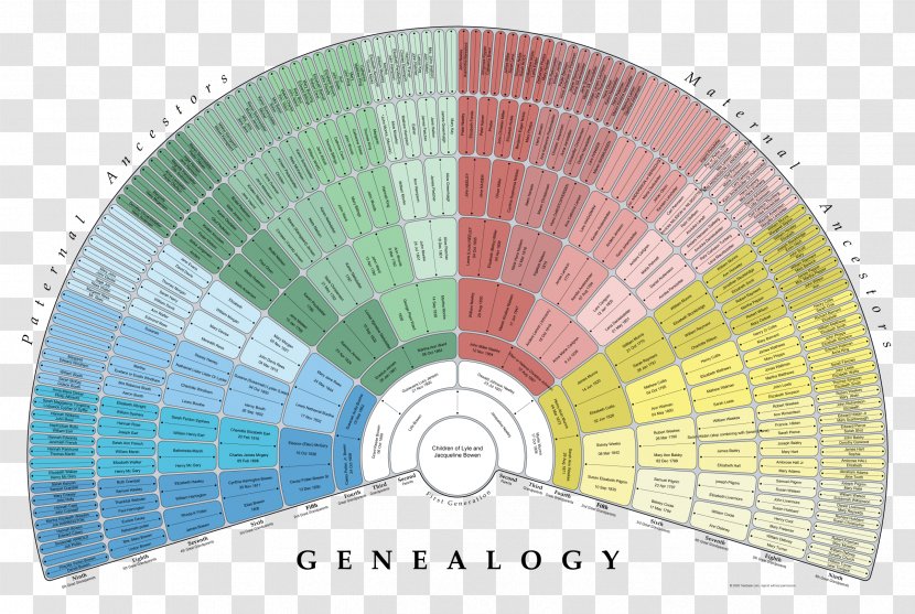 Genealogy Family Tree Pedigree Chart FamilySearch Ancestor Transparent PNG