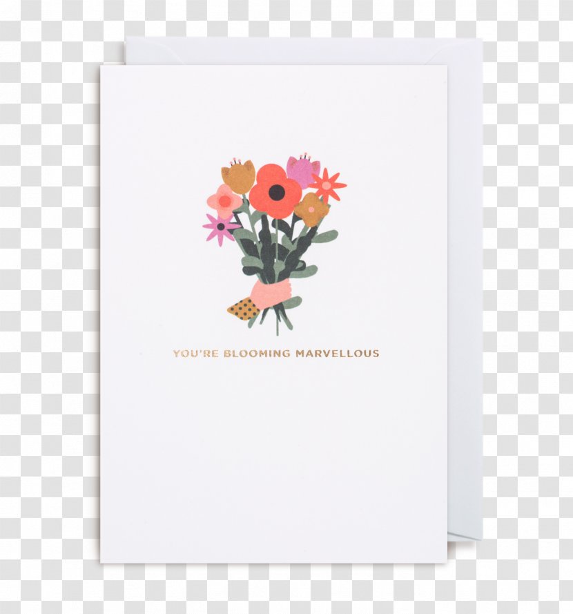 Bristol Greeting & Note Cards Floral Design Illustrator - Picture Frame - Eagles Transparent PNG