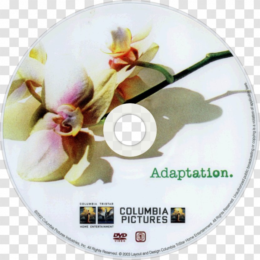 DVD Film Adaptation Photography Blu-ray Disc - Dvd Transparent PNG