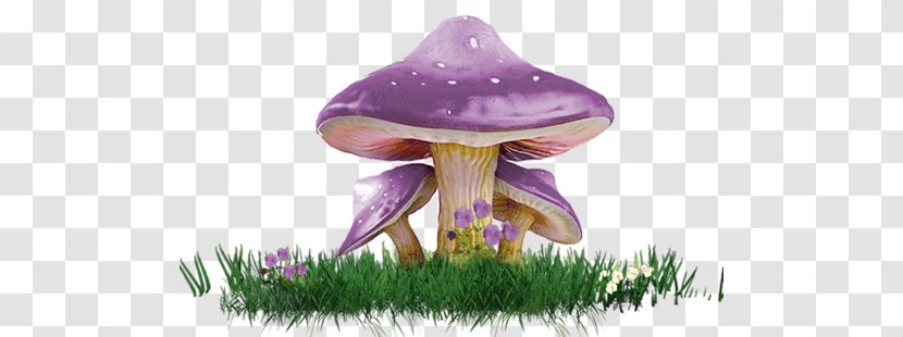 Amanita Muscaria Mushroom - Flower Transparent PNG