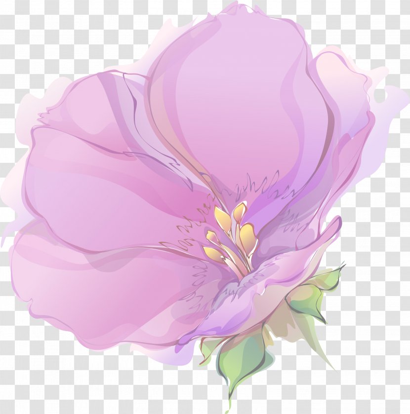 Flower Petal .net Paper Phuang Malai - Television - Spring Transparent PNG