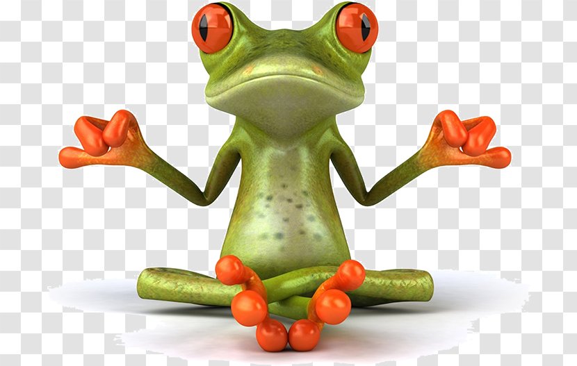 Frog Desktop Wallpaper Stock Illustration Image Amphibians - Photography - Humor Transparent PNG