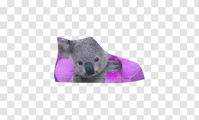 Koala Australia Knitting Bear Animal Hat - Beanie - 27 0 1 Transparent PNG