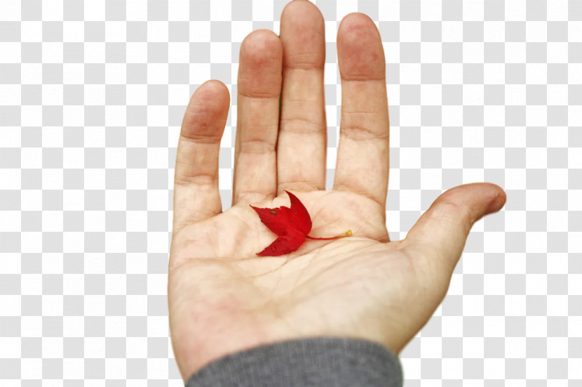 Hand Model Sign Language Language Nail Hand Transparent PNG