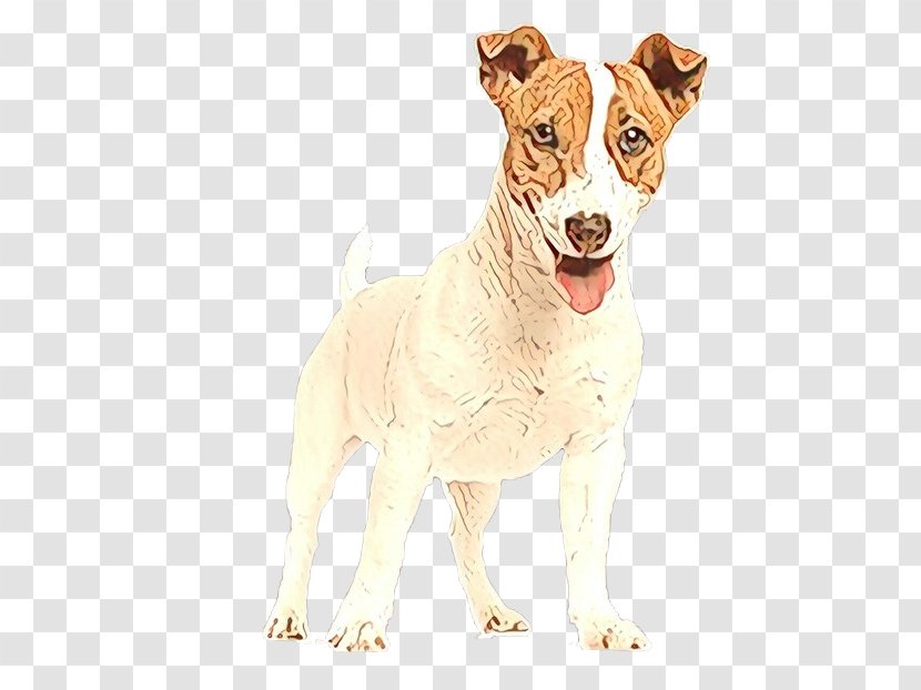Fox Drawing - Fawn - Chilean Terrier Transparent PNG
