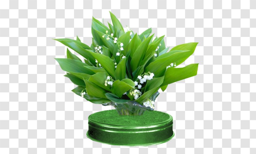 Lily Of The Valley Flower Leaf - Animaatio Transparent PNG