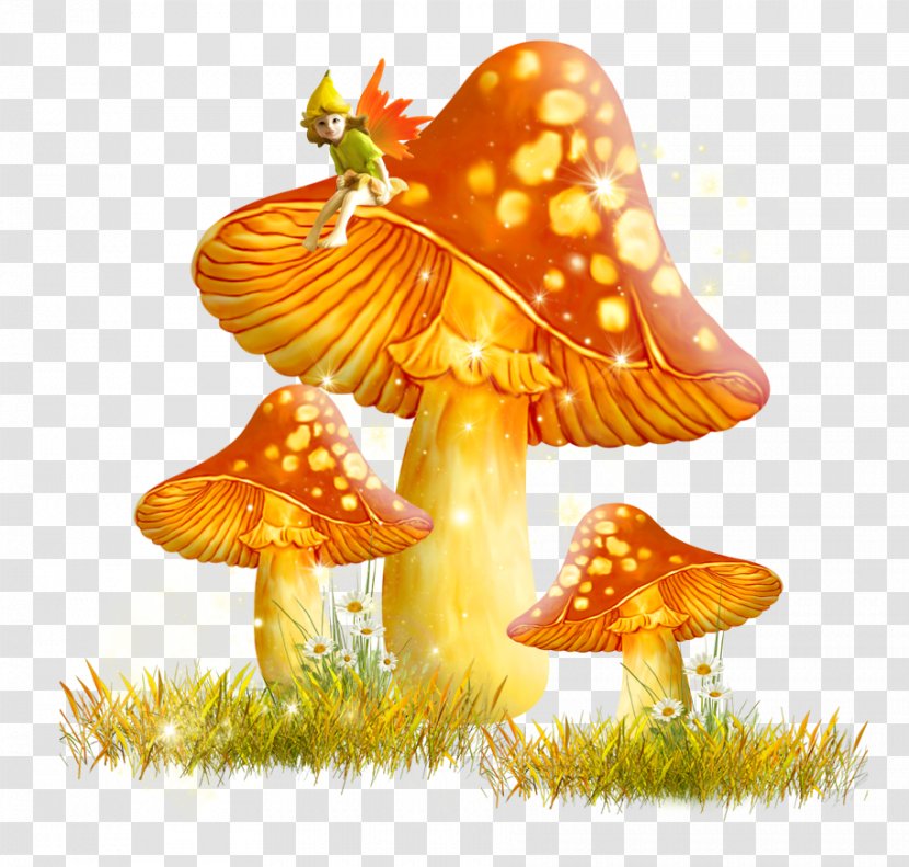Mushroom Fungus Clip Art - Drawing - Golden Transparent PNG