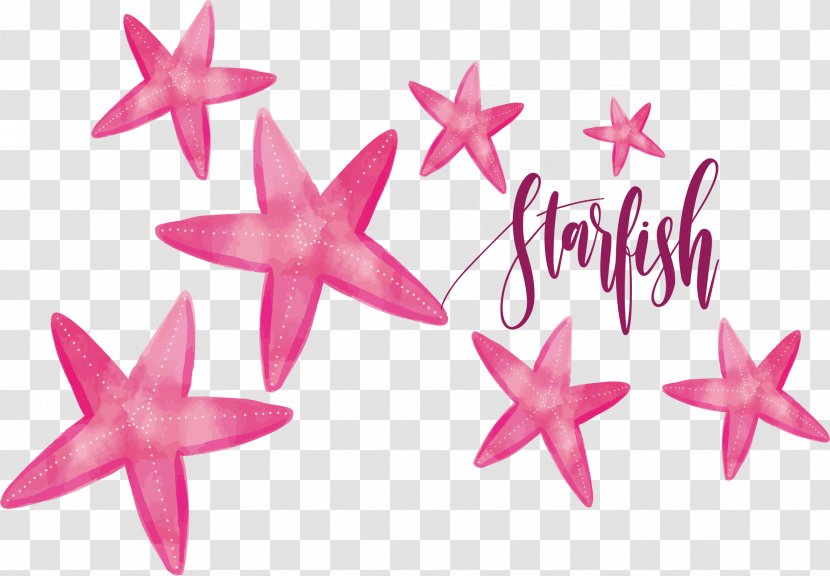 Watercolor Painting Starfish - Pink Transparent PNG