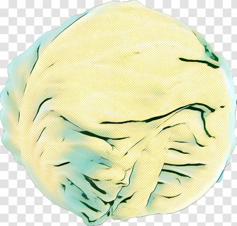 Head - Cabbage Transparent PNG
