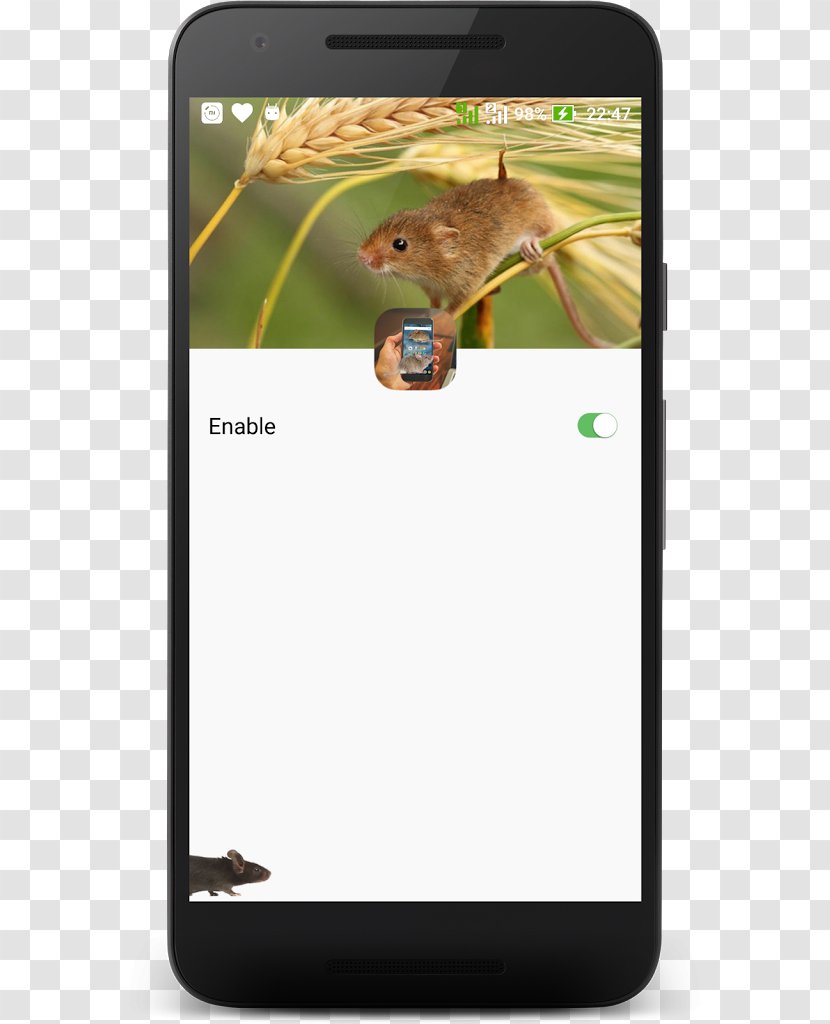 Smartphone Mammal - Technology Transparent PNG