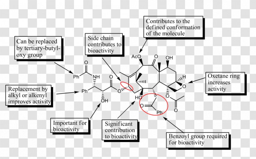 Discovery And Development Of Tubulin Inhibitors Structure–activity Relationship Paclitaxel Docetaxel Anhydrous - Structureactivity - Macau Sar Establishment Day Transparent PNG