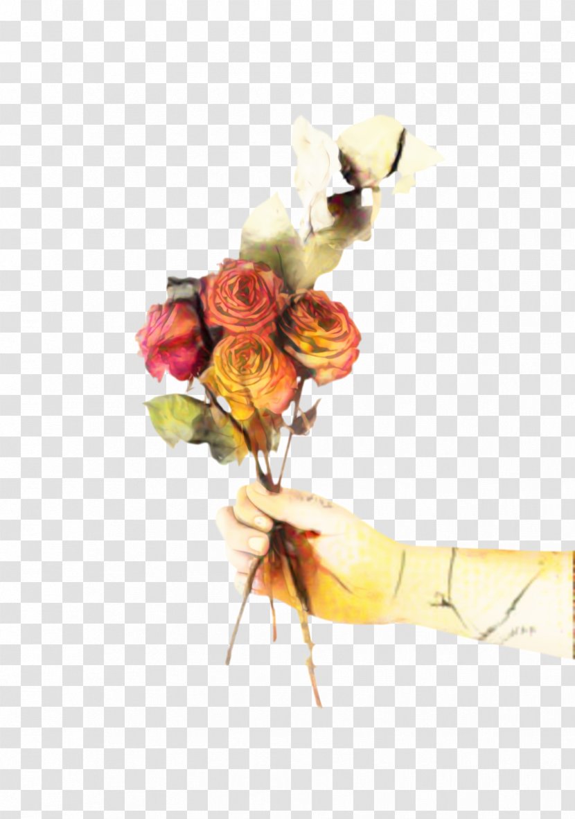 Floral Flower Background - Rose Family - Flowering Plant Order Transparent PNG