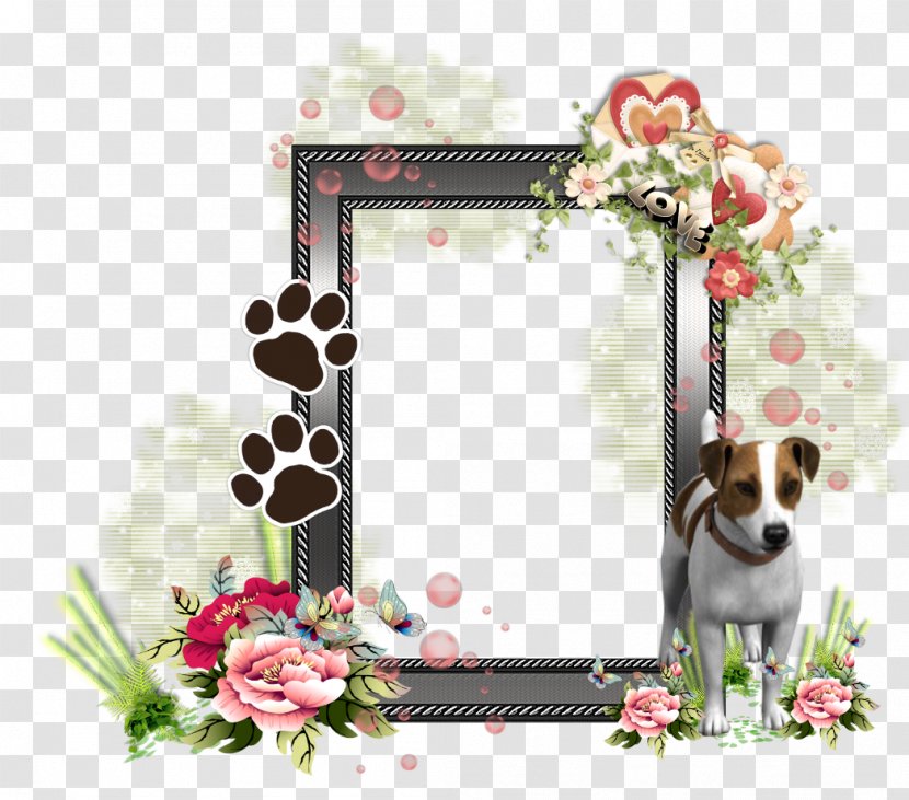 Picture Frames Jack Russell Terrier - Floristry - PHOTO FRAMES Transparent PNG