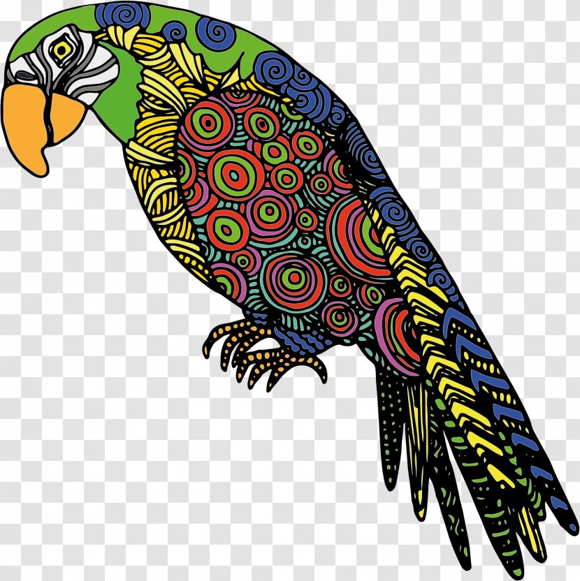 Bird Parrot Clip Art Transparent PNG