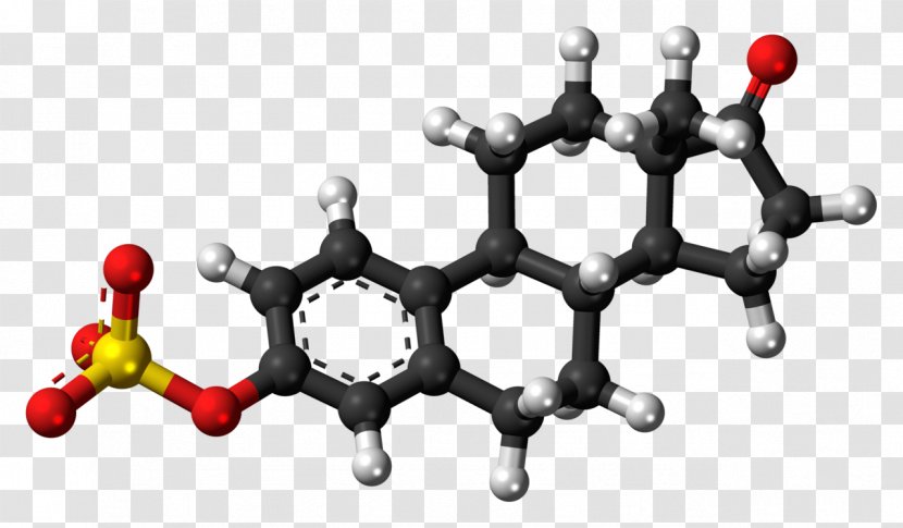Progesterone Steroid Hormone Progestogen Dehydroepiandrosterone Nandrolone - Three Dimensional Sphere Transparent PNG