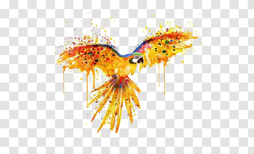 Parrot Bird Watercolor Painting Illustration - Poster - Water Transparent PNG