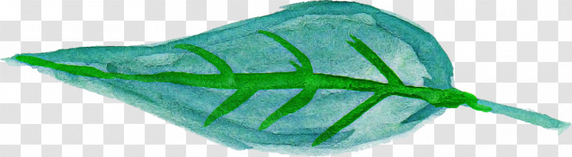 Leaf Fish Green Science Plant Transparent PNG