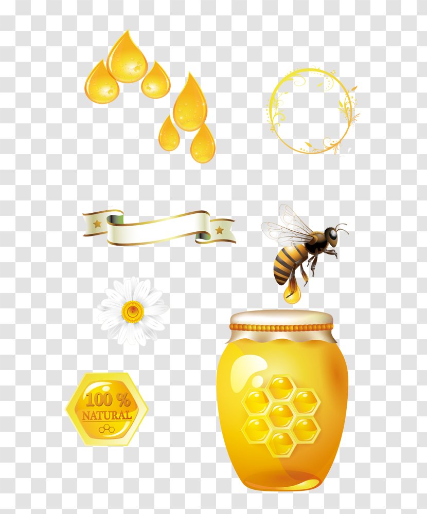 Honey Bee Honeycomb - Removal - Yellow Honeypot Transparent PNG