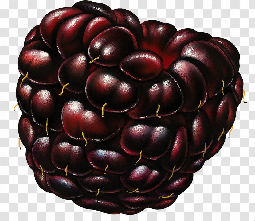 Blackberry Fruit Frutti Di Bosco - Food Transparent PNG