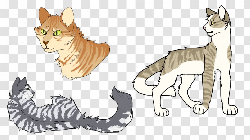 Whiskers Kitten Tabby Cat Wildcat Domestic Short-haired - Line Art - Drawing Style Transparent PNG