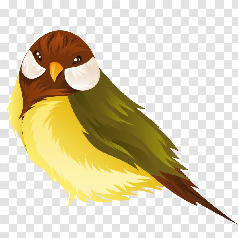 Lovebird Parrot Domestic Canary - Macaw - Green Bird Transparent PNG