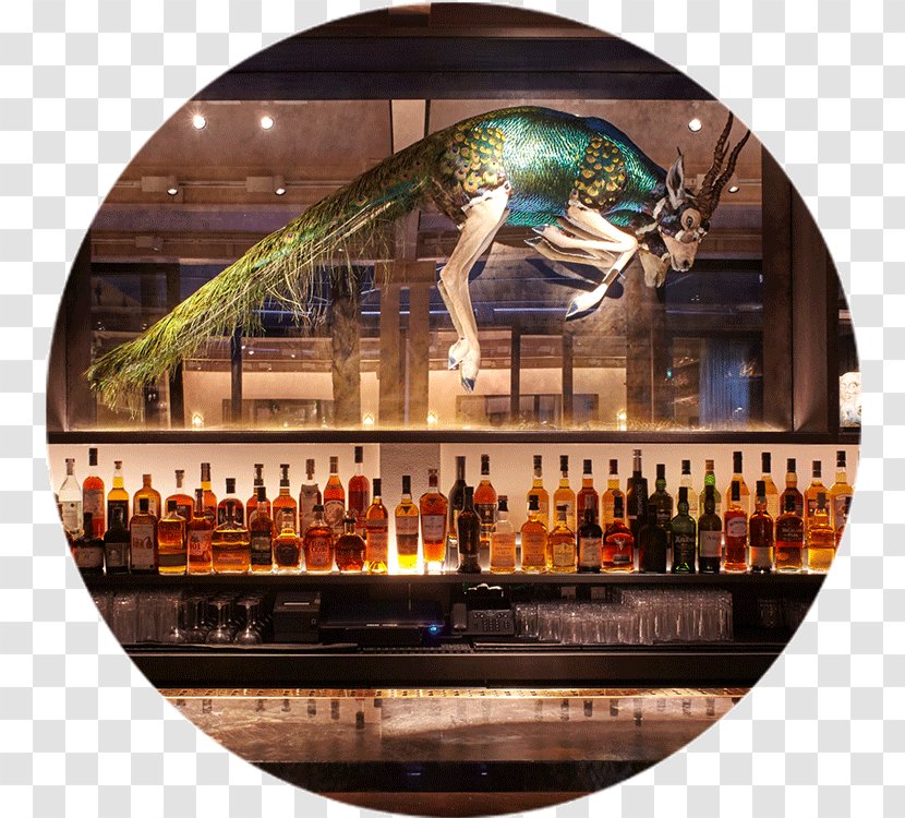 The Mandrake Hotel Marylebone Bar Restaurant - Bartender Transparent PNG