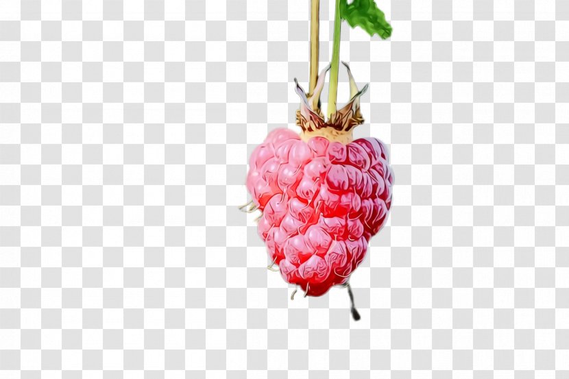 Strawberry - Plant - Pineapple Transparent PNG