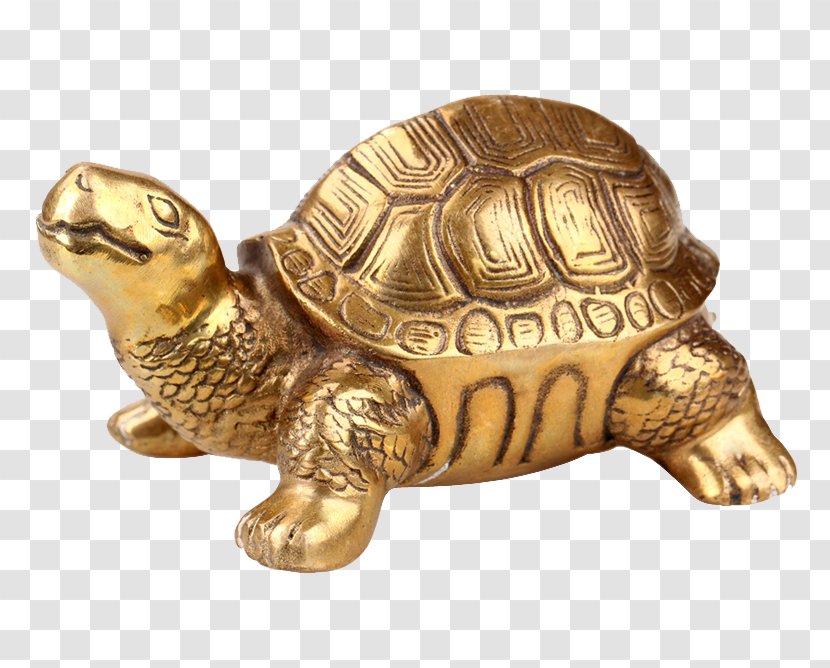 Box Turtle Copper Brass - Longevity Ornaments Transparent PNG