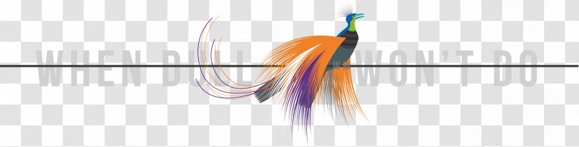 Line Point Angle Recreation Feather - Beak Transparent PNG