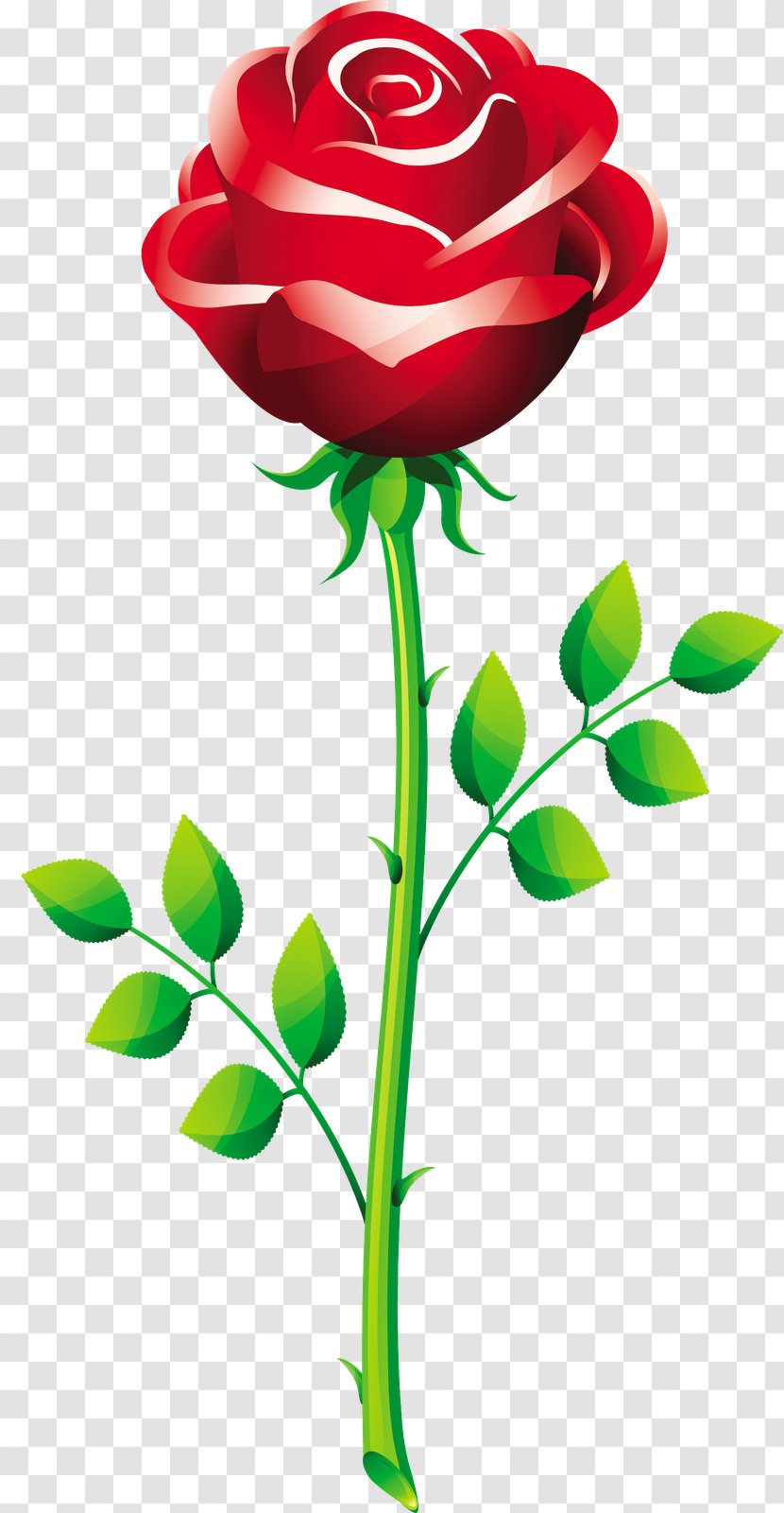 Valentine's Day Propose Clip Art - Valentine S - Blush Floral Transparent PNG
