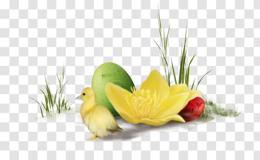 Easter Clip Art - Still Life Photography - Bouquets Clipart Transparent PNG