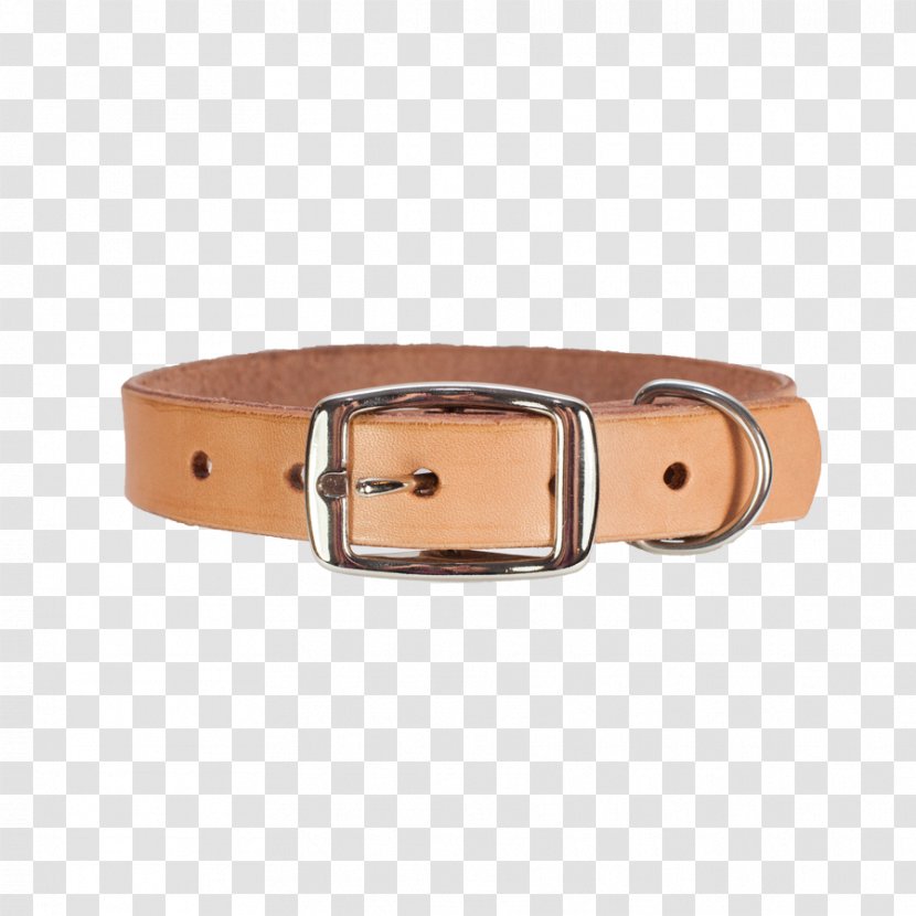 Belt Dog Collar Leash - Necklace Transparent PNG