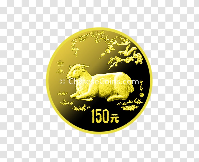 Coin Gold Logo Font - Yellow Transparent PNG