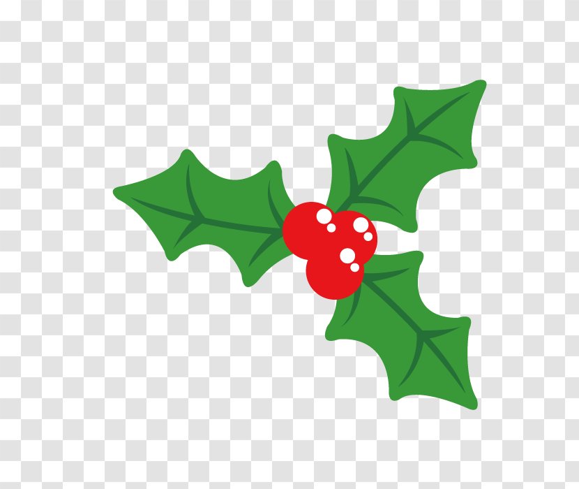 Holly Christmas Plant - Flowering - Vector Decorative Plants Transparent PNG