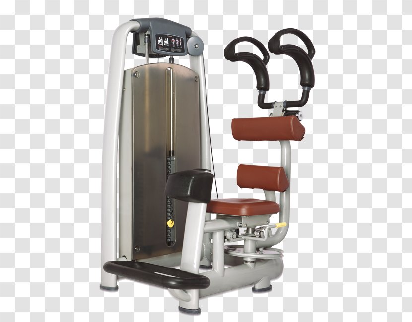 Exercise Machine Equipment Fitness Centre Physical Transparent PNG