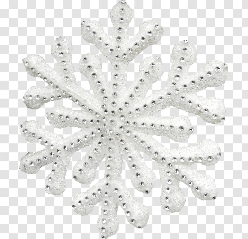 White Snowflake - Doily - Snow Transparent PNG