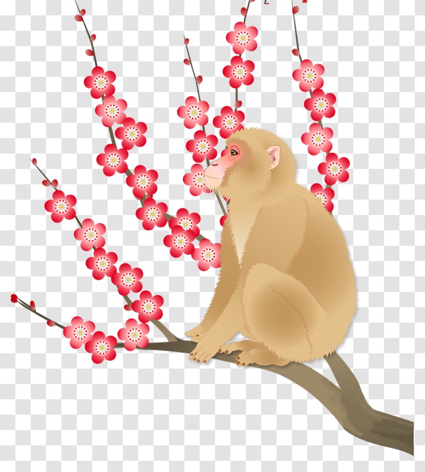 Cat Heart Illustration - Monkey Transparent PNG