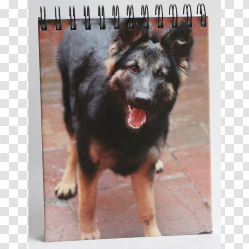 King Shepherd Shiloh Dog German Bohemian Kunming Wolfdog - Espiral Transparent PNG
