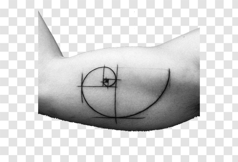 Tattoo Golden Ratio Spiral Geometry Mathematics - Tree - Arm Transparent PNG
