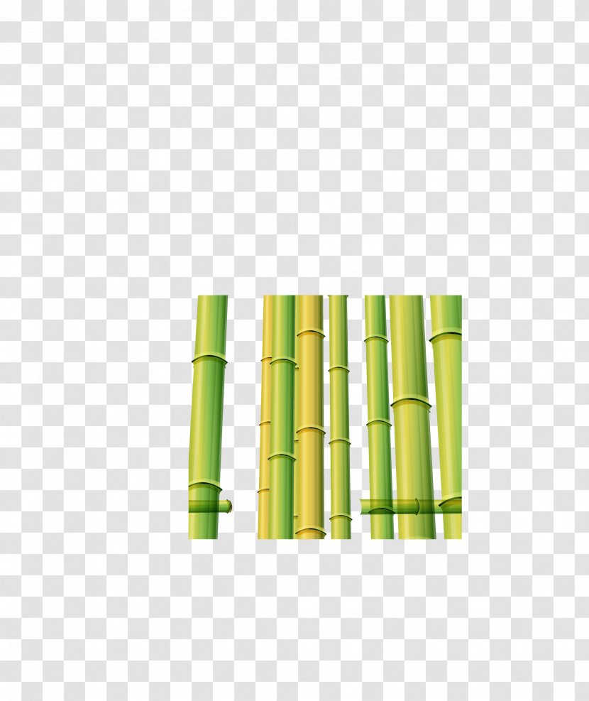 Bamboo Bamboe Euclidean Vector - Grass - Fresh Transparent PNG